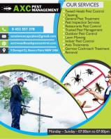 AXC Pest Management | General Pest Treatment in Tweed heads image 1